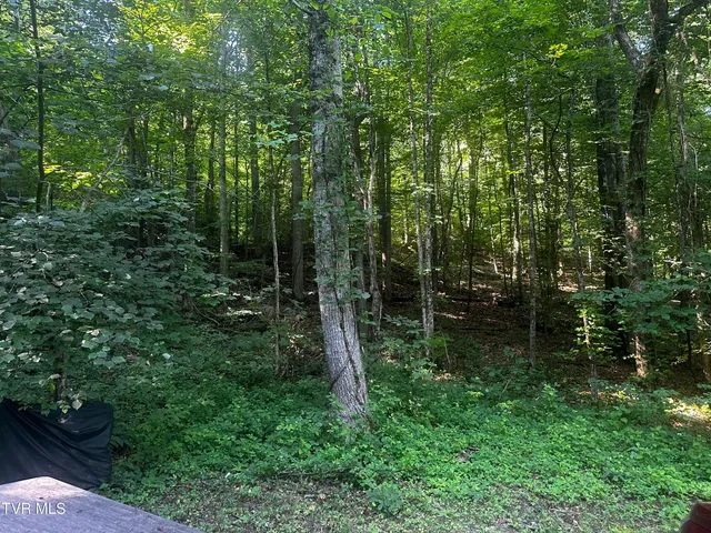 $140,000 | Tbd Clinch Mountain Road, Eidson, TN 37731