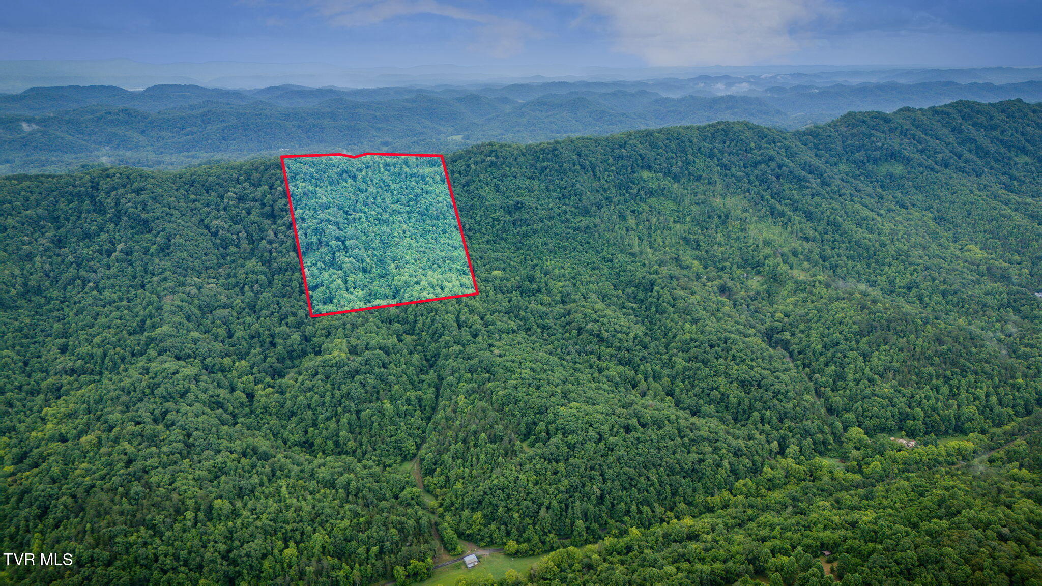 Tbd Clinch Mountain Road Eidson, TN 37731 - Photo 8 of 46 115