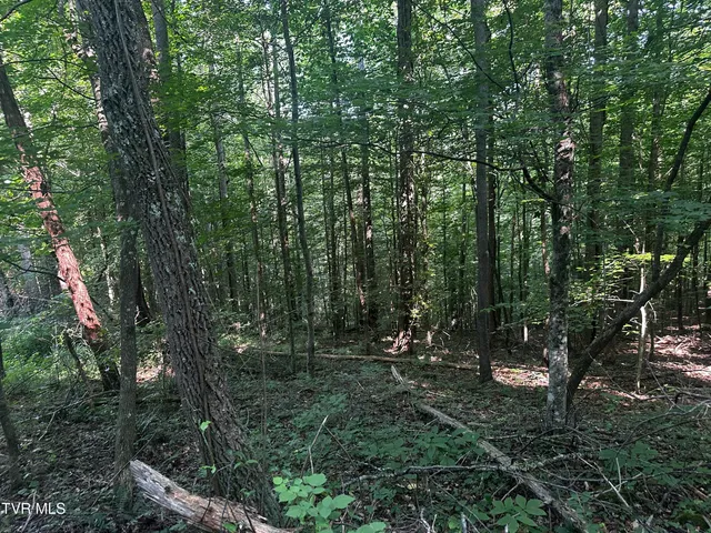 $140,000 | Tbd Clinch Mountain Road, Eidson, TN 37731
