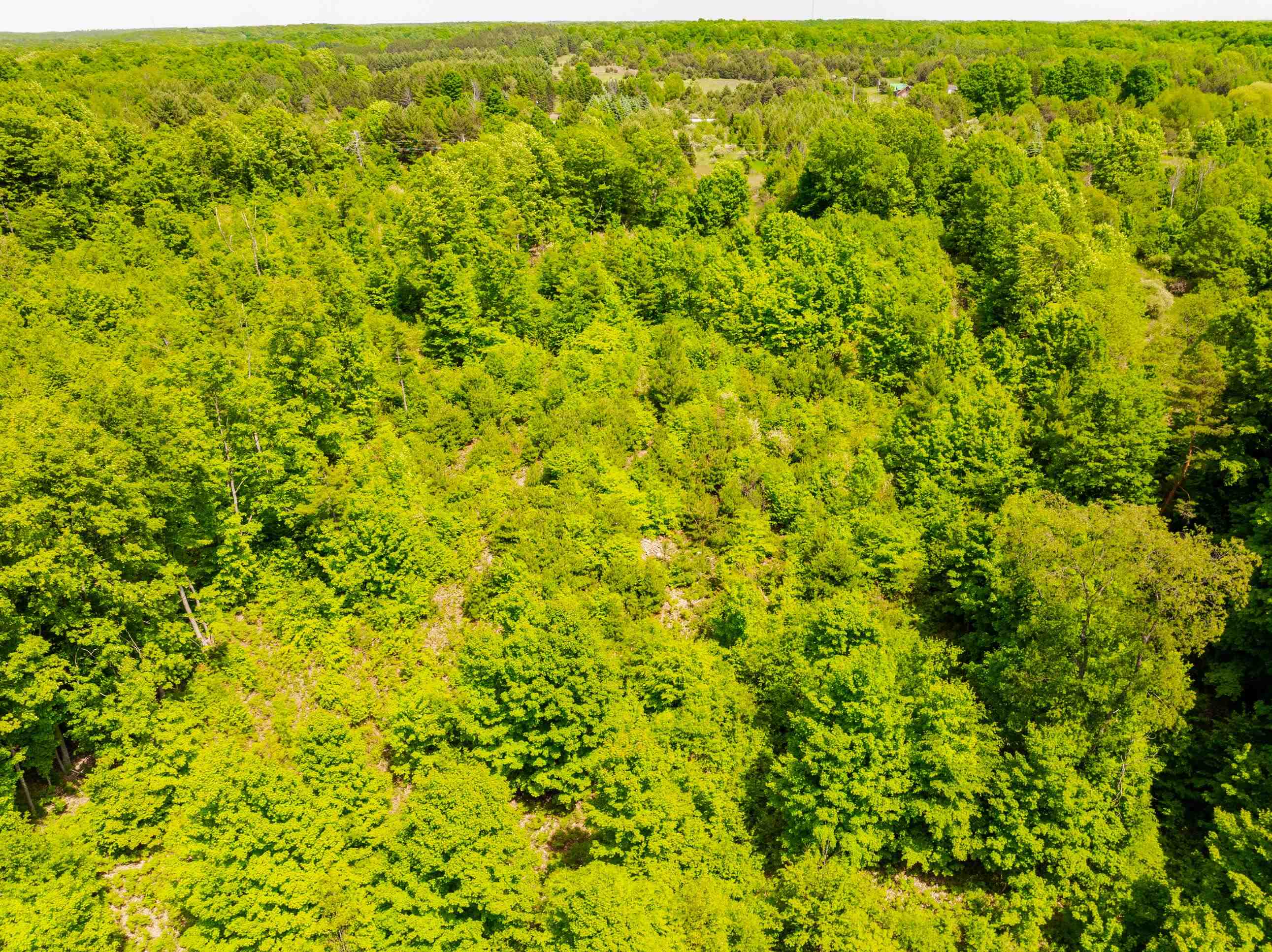 Tbd Traverse Road Thompsonville, MI 49683 - Photo 17 of 40