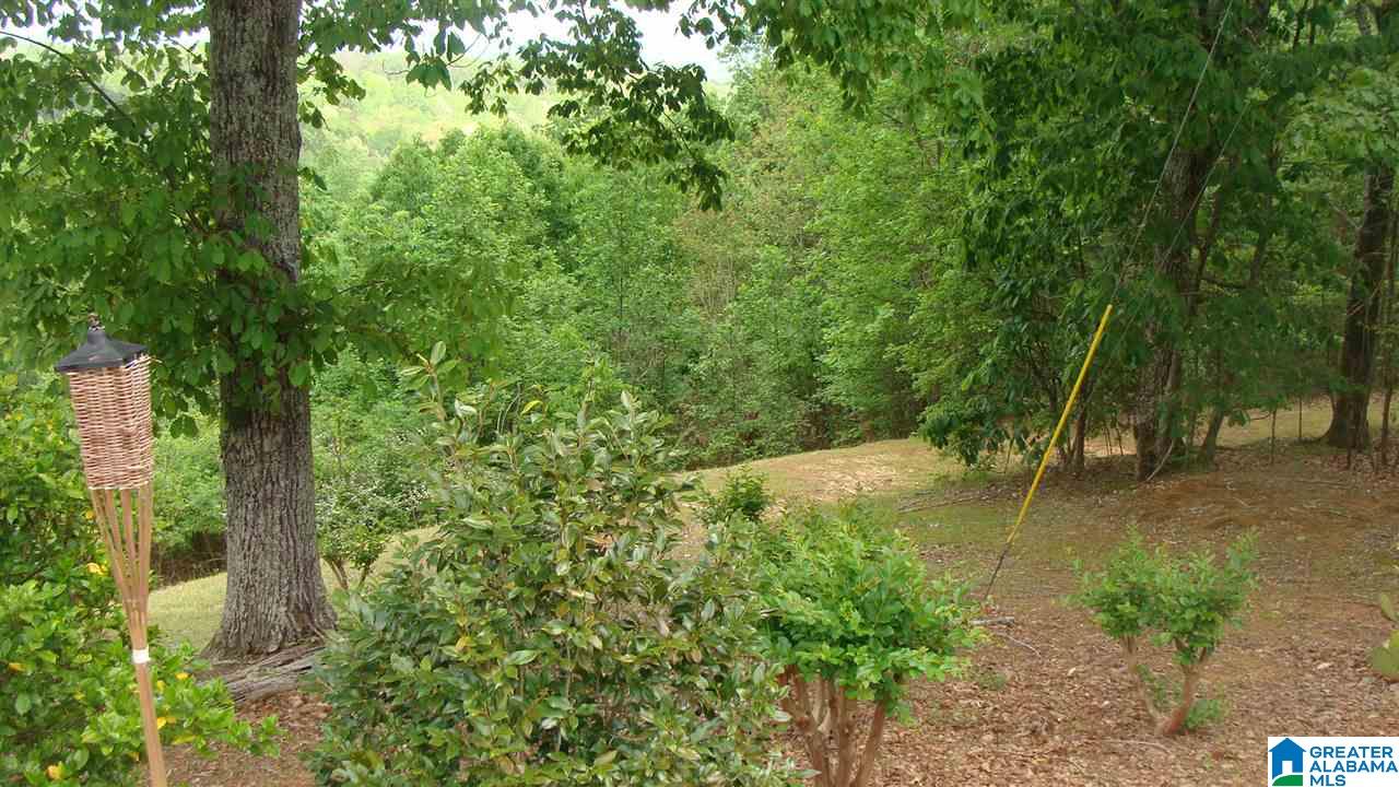 234 Fox Ridge Drive Warrior, AL 35180 - Photo 9 of 41