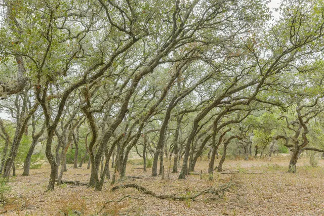 $1,050,000 | 1089 County Road 120, Hallettsville, TX 77964