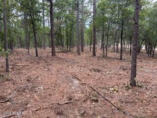 31 Chestertown Drive Pinehurst, NC 28374 - Photo 6 of 12 IMG_3156 (1)