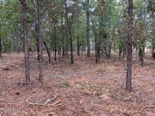 31 Chestertown Drive Pinehurst, NC 28374 - Photo 7 of 12 IMG_3157 (1)