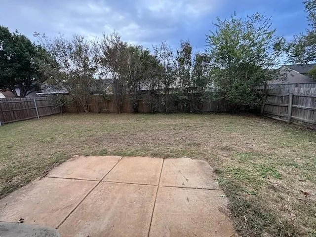 a view of a backyard