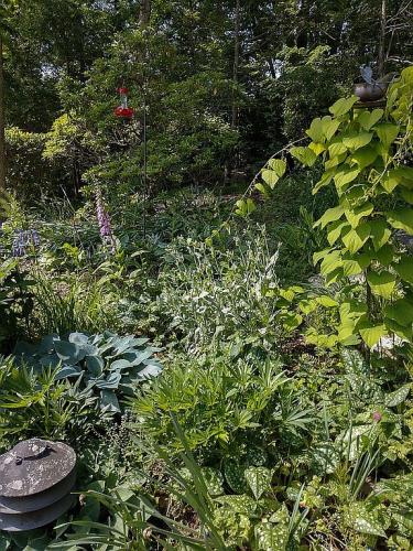 32 Gilbert Hill Road Chester, CT 06412 - Photo 4 of 15