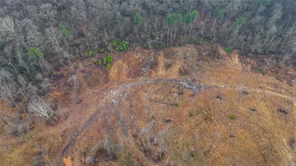 1581 Taylor Town Road Northeast Ranger, GA 30734 - Photo 28 of 30 a view of a dry yard with trees