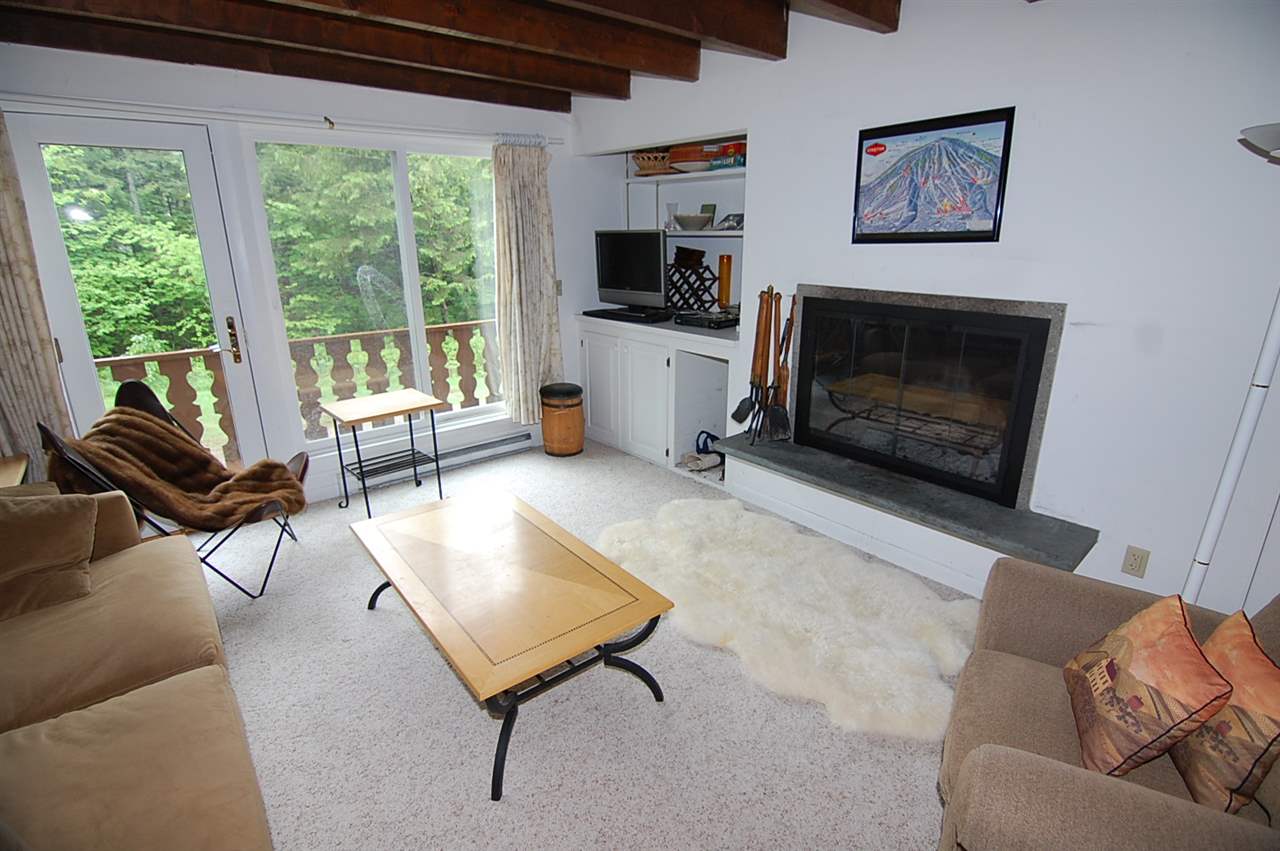 135 Quarter Mile Road, Unit DRIFTER #8 Stratton, VT 05155 - Photo 2 of 10 Gallery Image 2