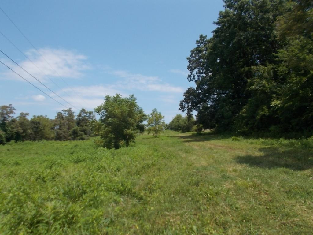 0 Jim Fox Road, Unit 4 Greeneville, TN 37743 - Photo 19 of 22 Photo 20