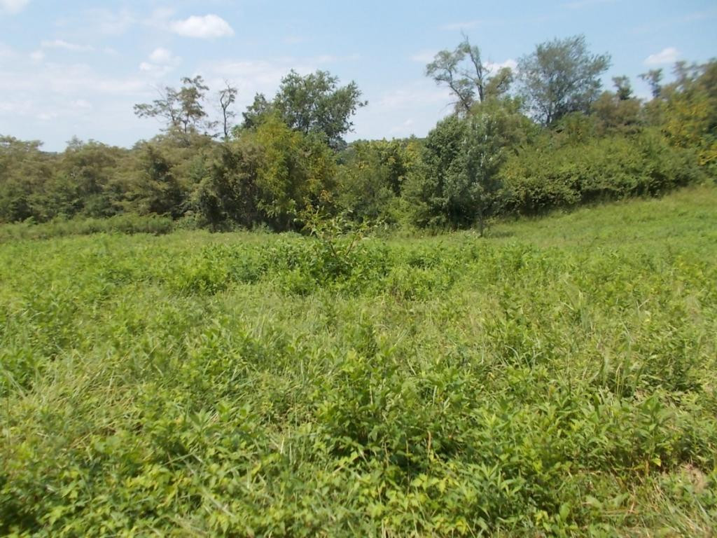 0 Jim Fox Road, Unit 4 Greeneville, TN 37743 - Photo 20 of 22 Photo 21