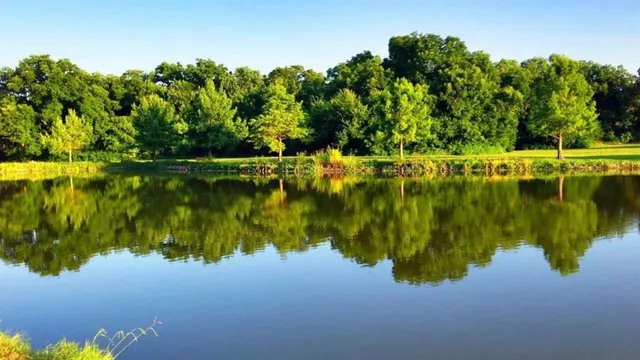 a view of lake