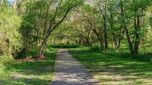 a walkway with trees on sides