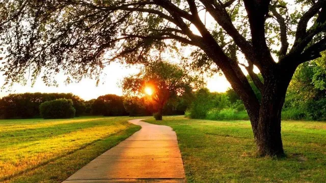 a view of swimming pool with a backyard