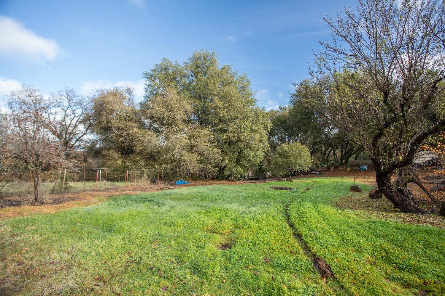 10988 Pleasant Valley Road Penn Valley, CA 95946 - Photo 25 of 90