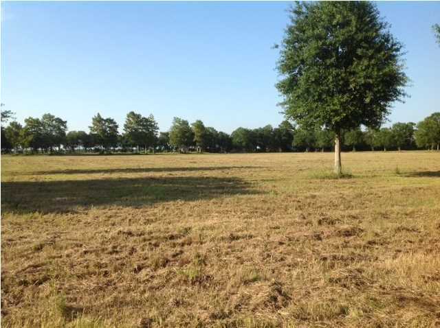 Monceaux Road Rayne, LA 70578 - Photo 7 of 12 Additional Photo