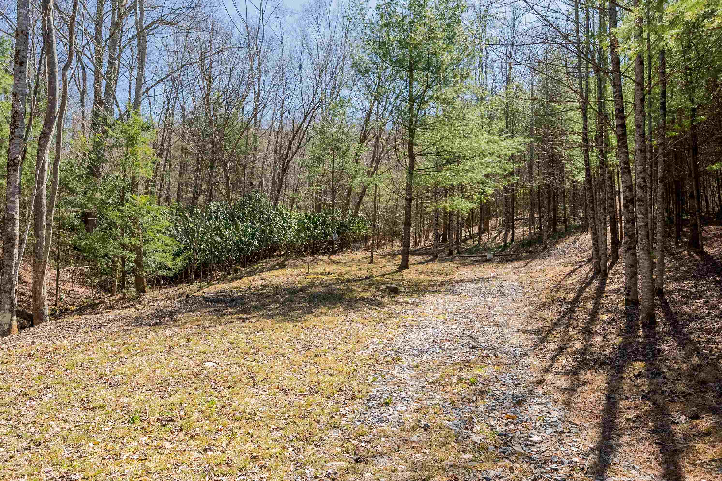Tbd Southwest Tbd Sw Jeb Stuart Road Southwest Damascus, VA 24236 - Photo 31 of 113 Gallery Image 31