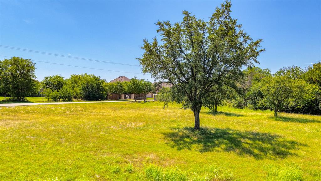 619 Old Annetta Road Aledo, TX 76008 - Photo 16 of 16 Expansive grassy lot featuring mature trees and a clear blue sky
