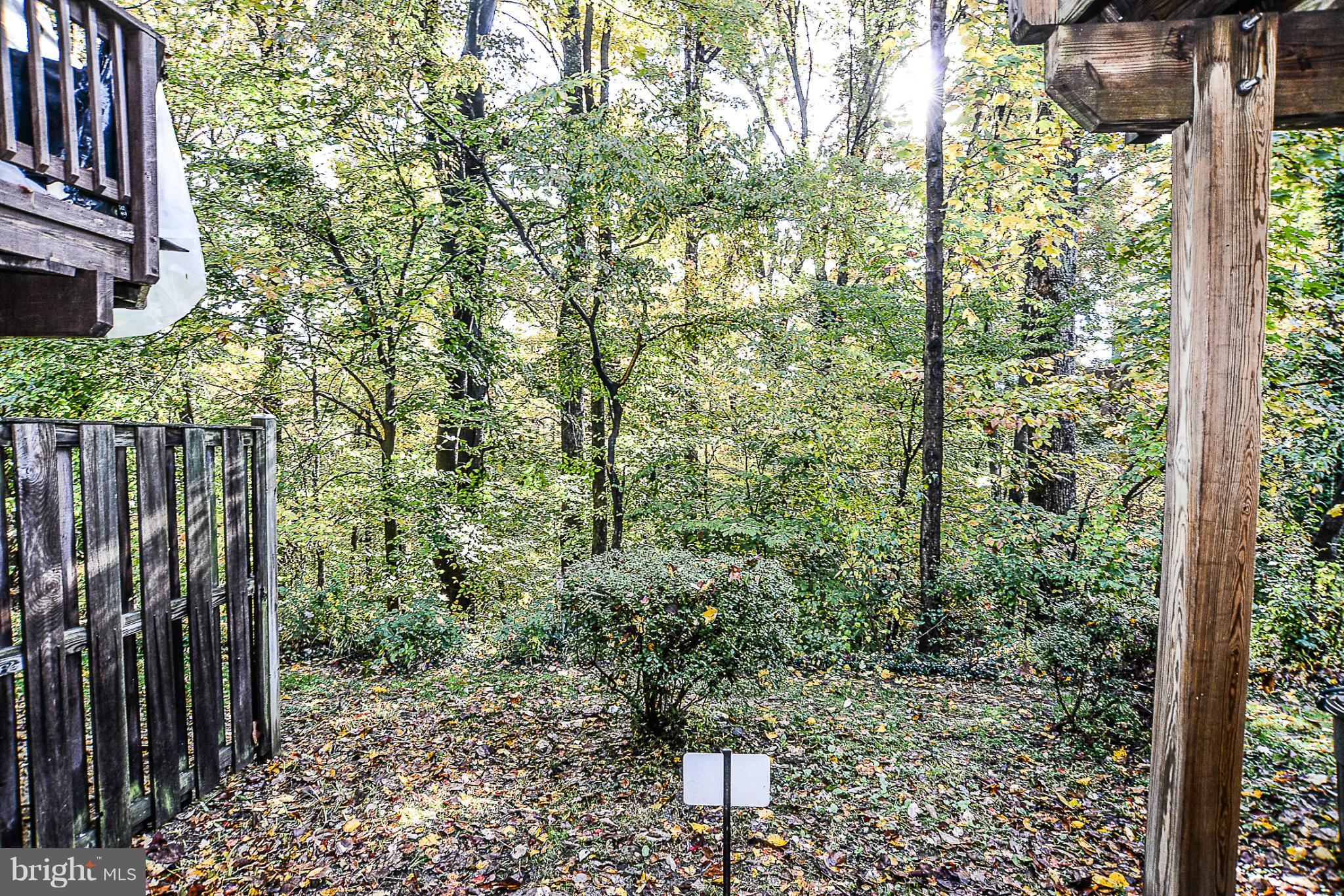 7207 Hidden Ridge Court Springfield, VA 22152 - Photo 24 of 24 Exterior (Rear)