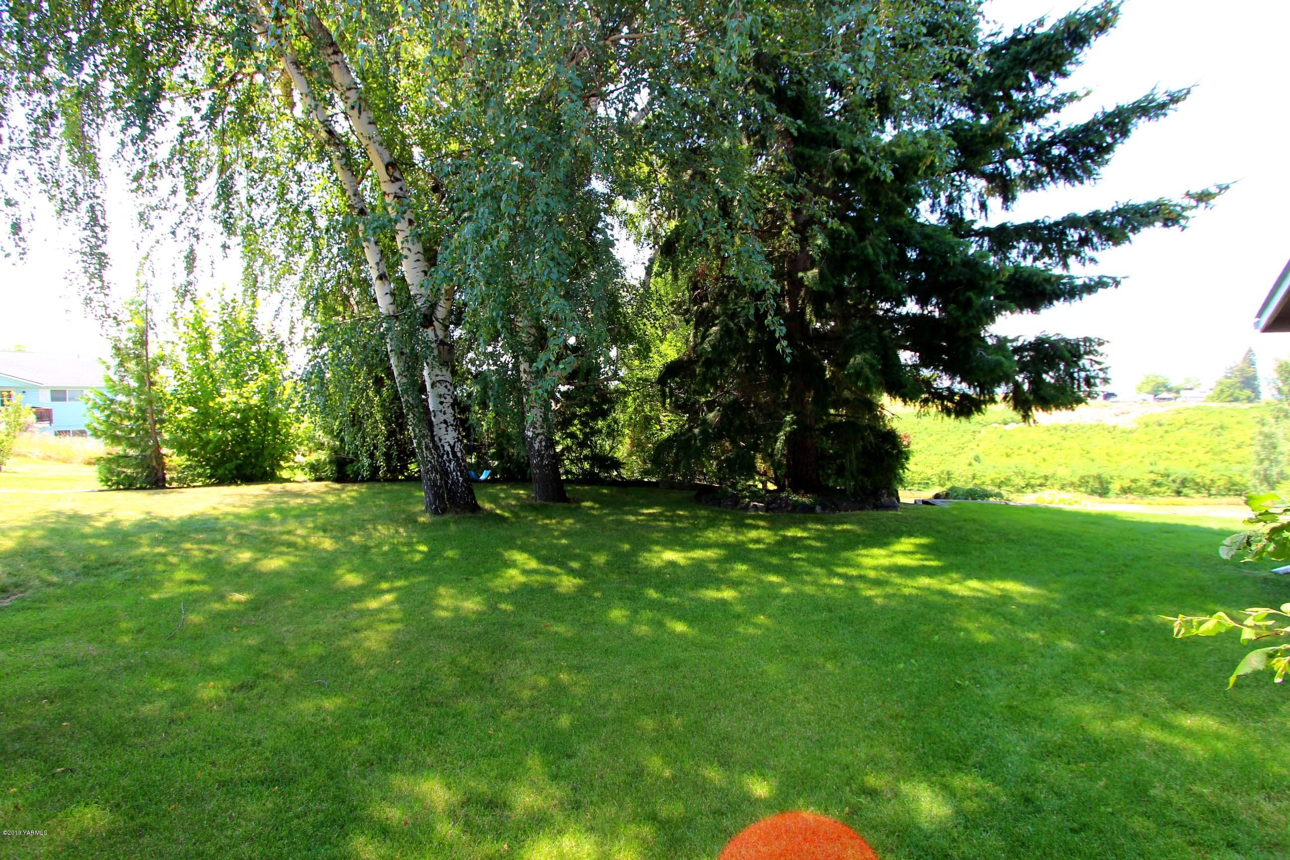 170 Wilcox Road Cowiche, WA 98923 - Photo 38 of 39 a view of yard with green space