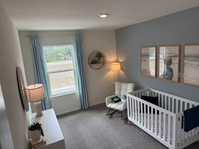 10507 Tucker Road Weeki Wachee, FL 34613 - Photo 17 of 39