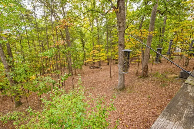 a view of a lush green field with mountains in the background