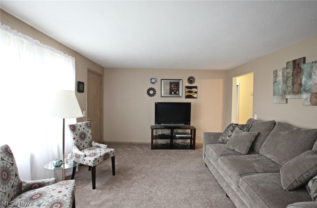 40100 Biggs Road Lagrange, OH 44050 - Photo 6 of 31