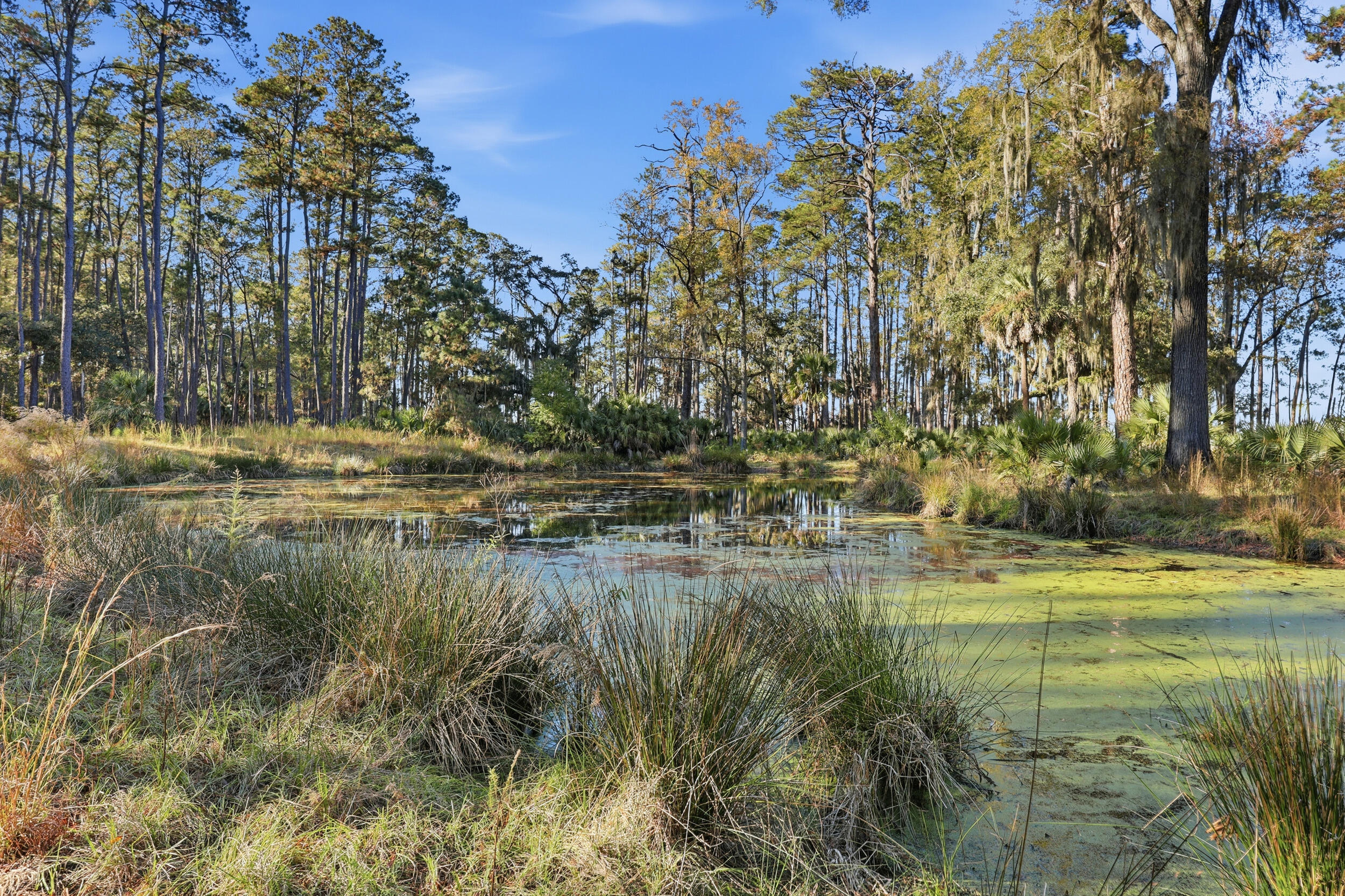 0 Rose Island Rd Port Okatie, SC 29909 - Photo 51 of 53 48