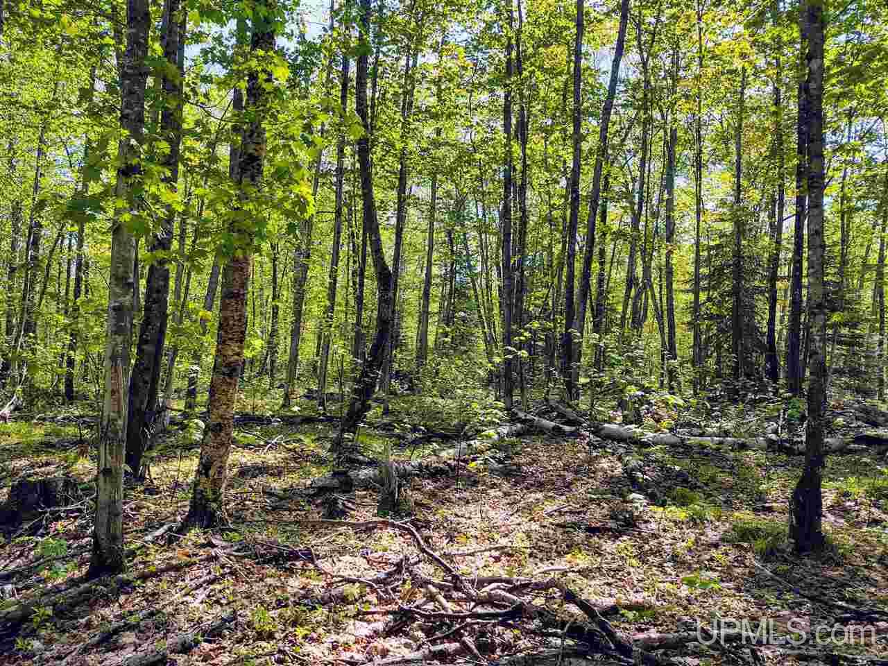 Tbd-parcel Point Abbaye Road Lanse, MI 49946 - Photo 21 of 26
