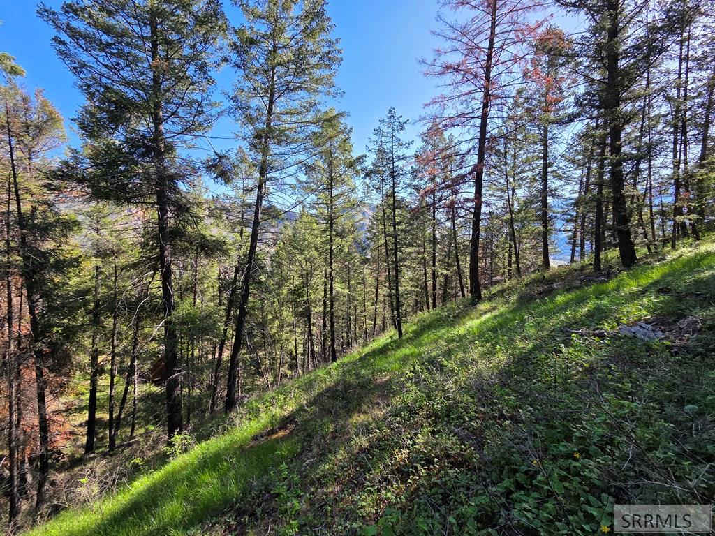 21 Pinetree Drive Salmon, ID 83467 - Photo 25 of 71