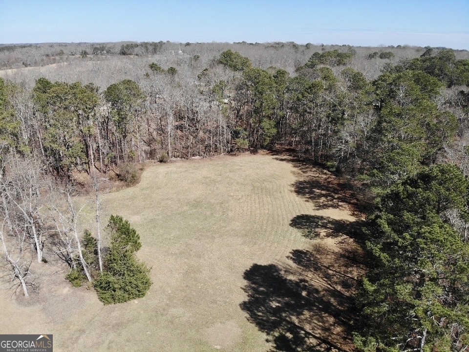 a view of a dry yard with trees