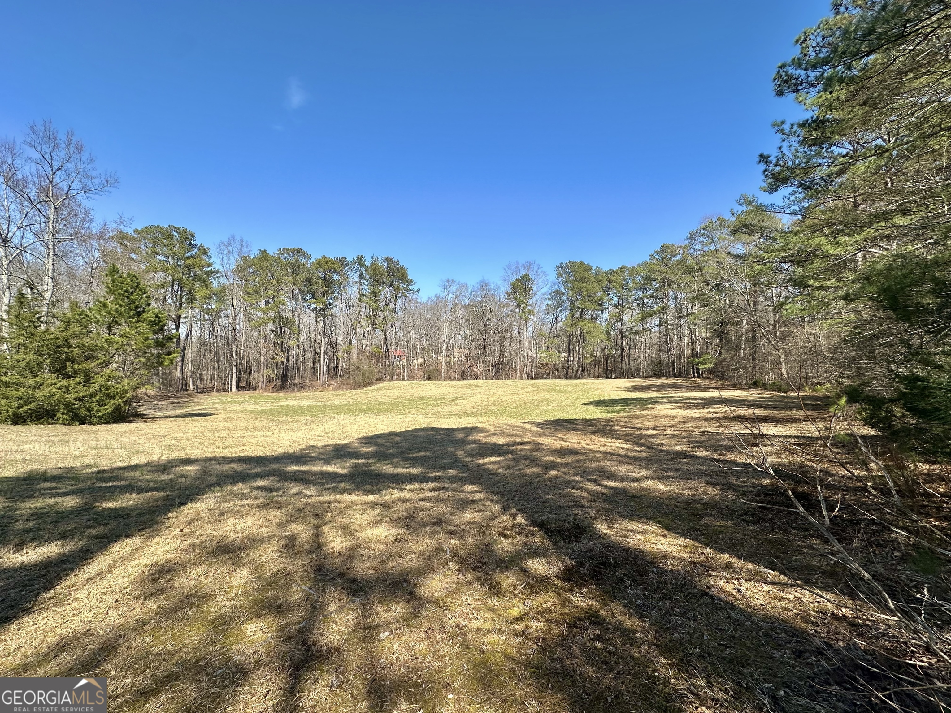 0 Hard Rock Road Oxford, GA 30054 - Photo 2 of 12 a view of outdoor space with swimming pool and trees