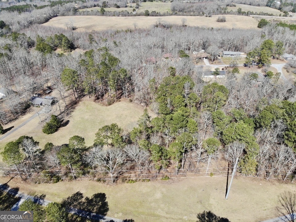 0 Hard Rock Road Oxford, GA 30054 - Photo 5 of 12 a view of lake view with large trees