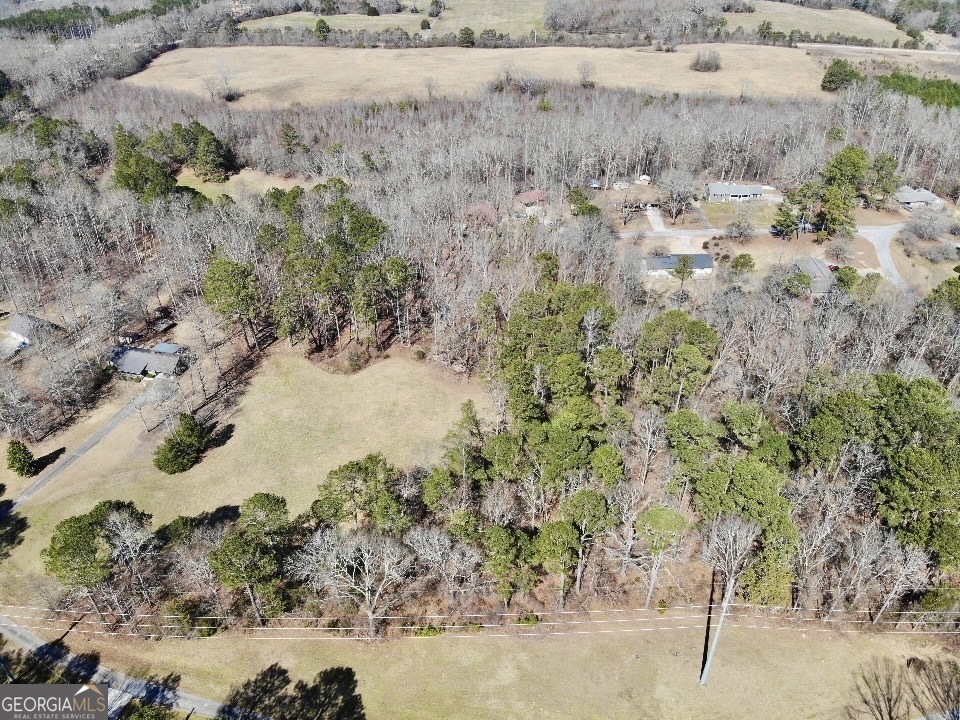 0 Hard Rock Road Oxford, GA 30054 - Photo 6 of 12 a view of a lake with beach