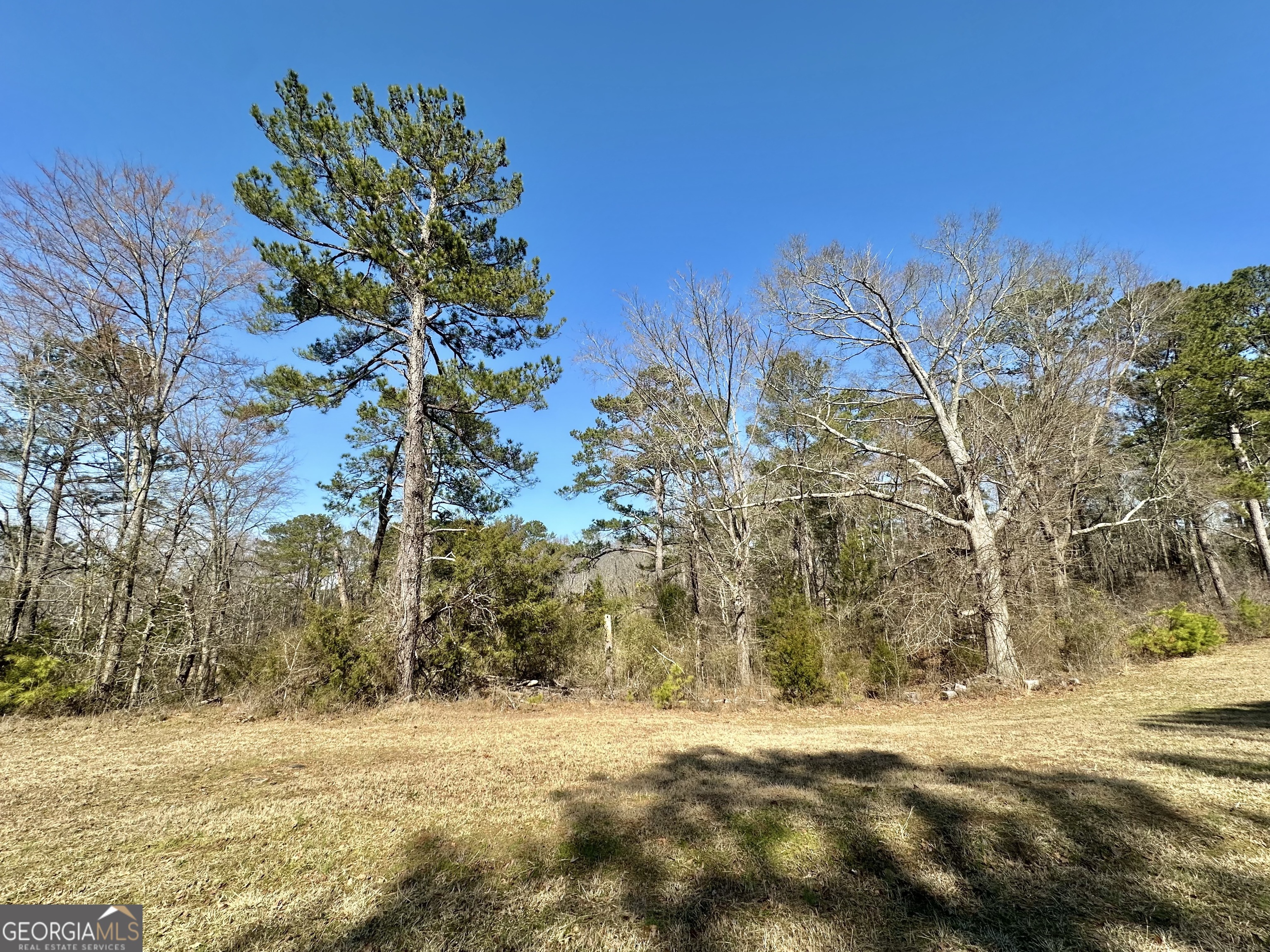 0 Hard Rock Road Oxford, GA 30054 - Photo 9 of 12 a view of a yard with a tree