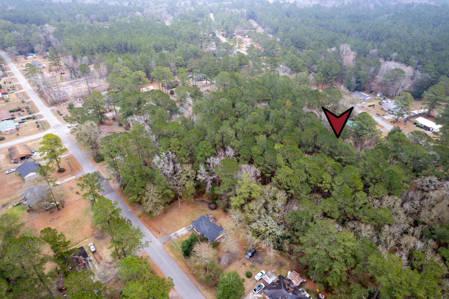 Lot 22 Gadsden Loop Walterboro, SC 29488 - Photo 7 of 13 7