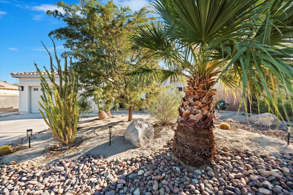 3982 Eastgate N Road Palm Springs, CA 92262 - Photo 54 of 55 a view of a yard with plants and trees