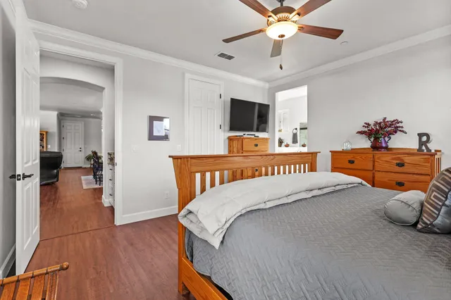 a room with furniture and a potted plant