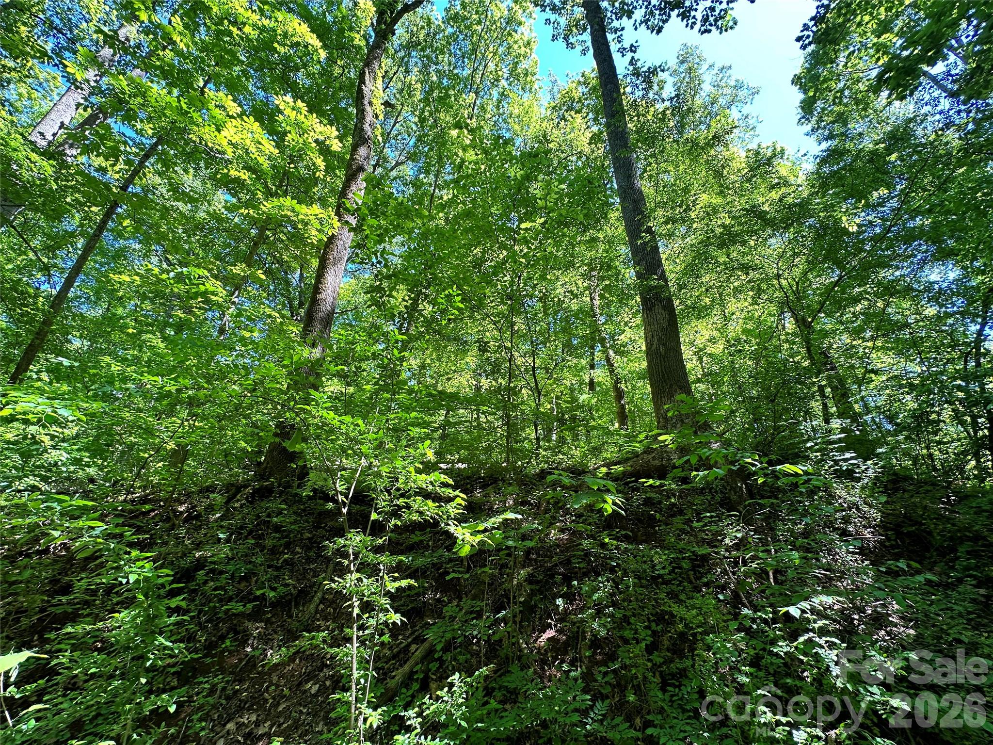168 Rolling Road Lincolnton, NC 28092 - Photo 40 of 41 Gallery Image 40
