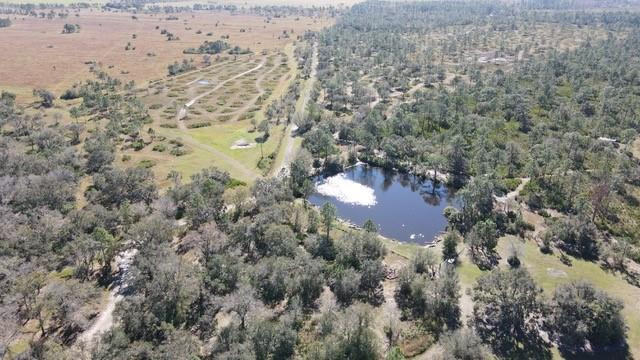 545 New Boot Heel Road Venus, FL 33960 - Photo 10 of 22 Photo 7