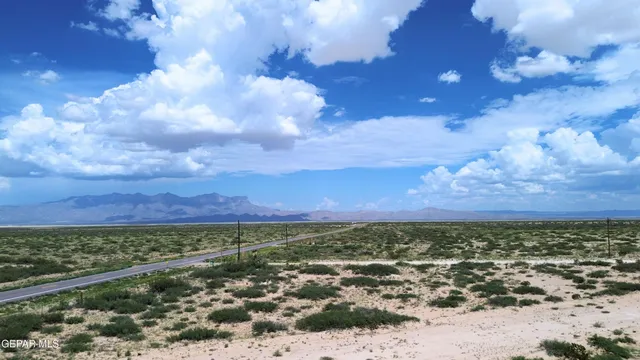 a view of a backyard of the house
