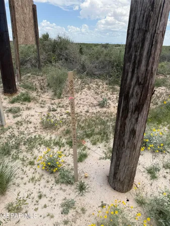 $65,500 | 1-2 Ranch Road 1576, Dell City, TX 79847