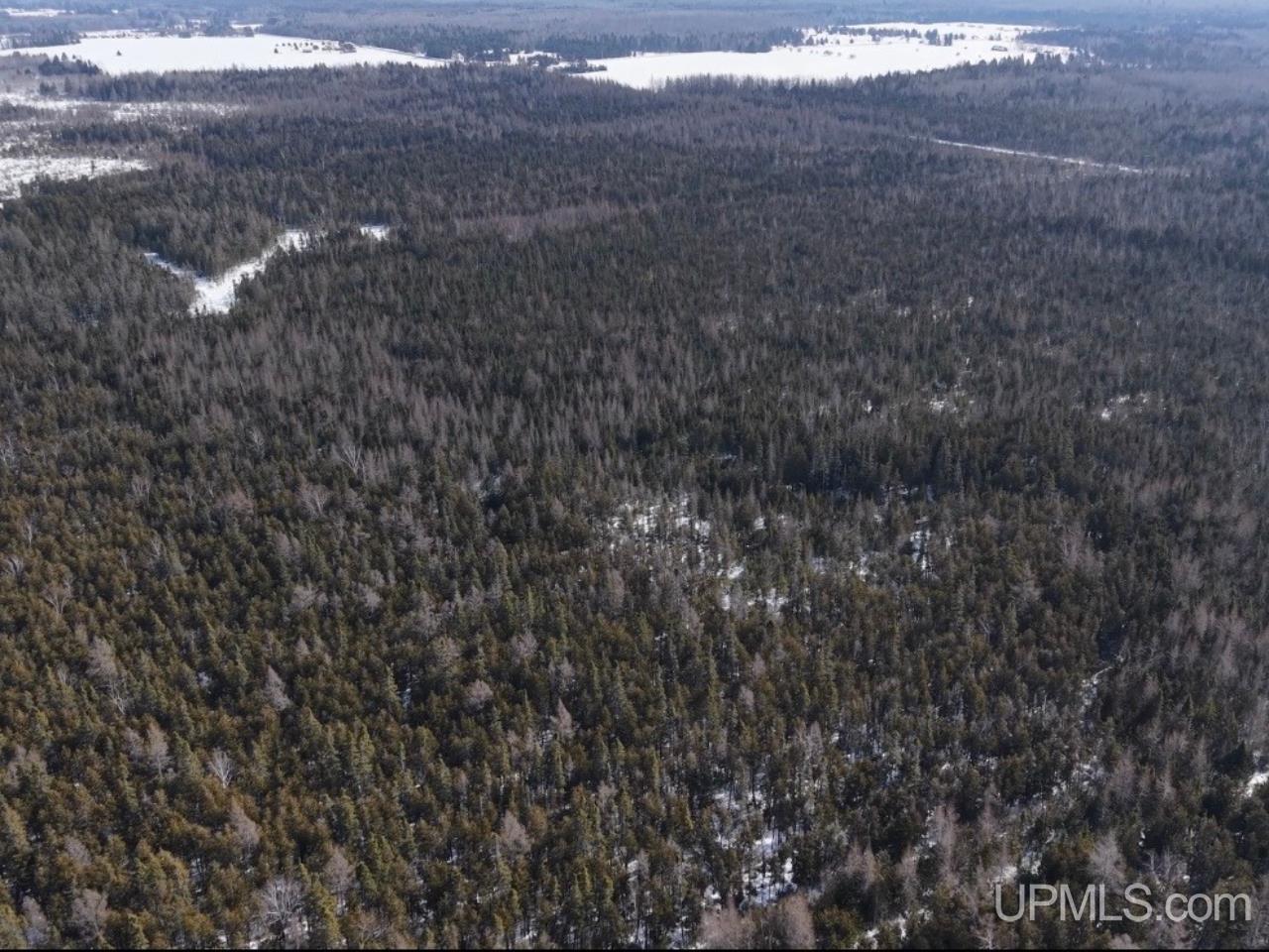 W 80-acres River Road Gulliver, MI 49840 - Photo 22 of 29
