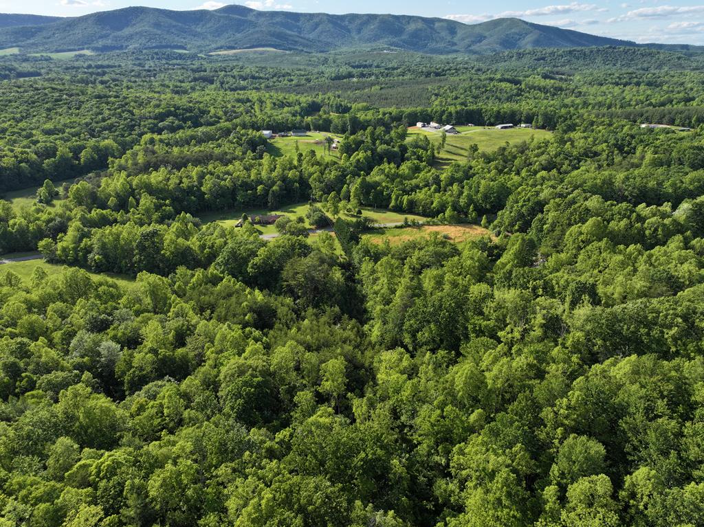 0 Old Mill Road Patrick Springs, VA 24133 - Photo 1 of 16 Gallery Image 1