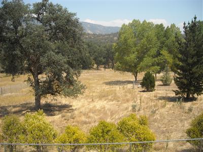 36715 Old Oak Road Dunlap, CA 93621 - Photo 3 of 21 Beautiful pasture. All usable. Gorgeous seasonal creek at end of the back of property.
