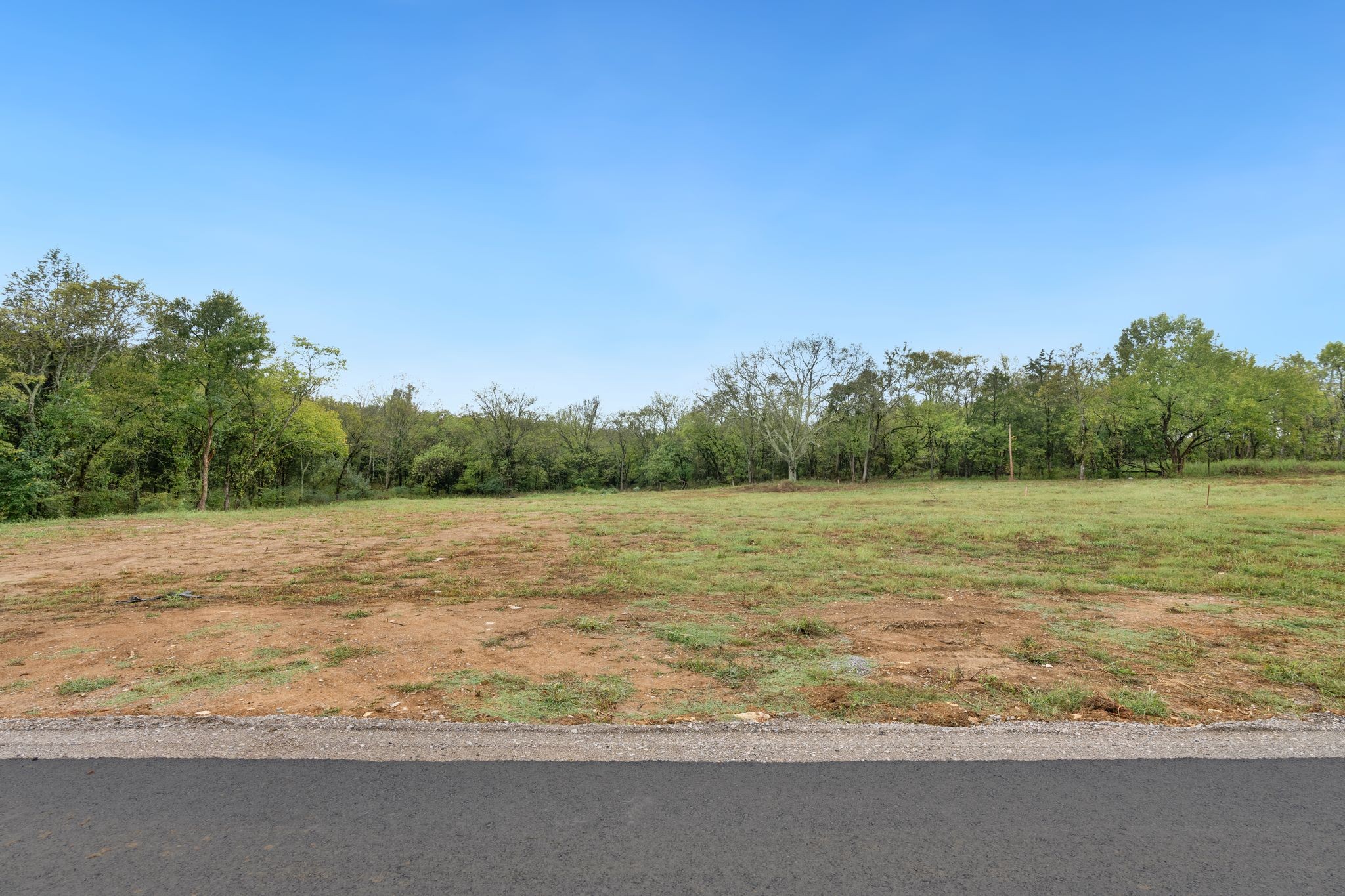 6857 Cross Keys Road College Grove, TN 37046 - Photo 3 of 28 Gallery Image 3