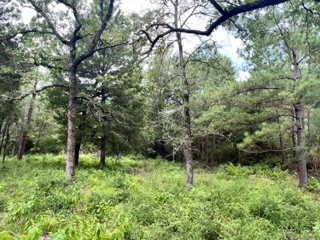 $279,900 | Lot 33 High View Drive, Oakwood, TX 75855