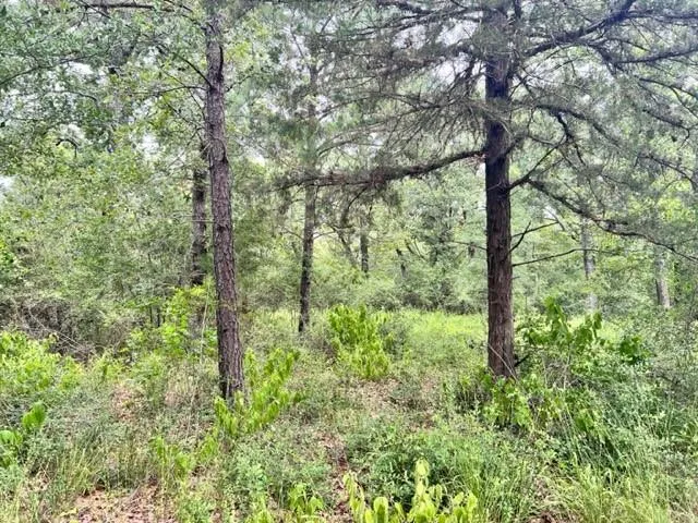 $279,900 | Lot 33 High View Drive, Oakwood, TX 75855