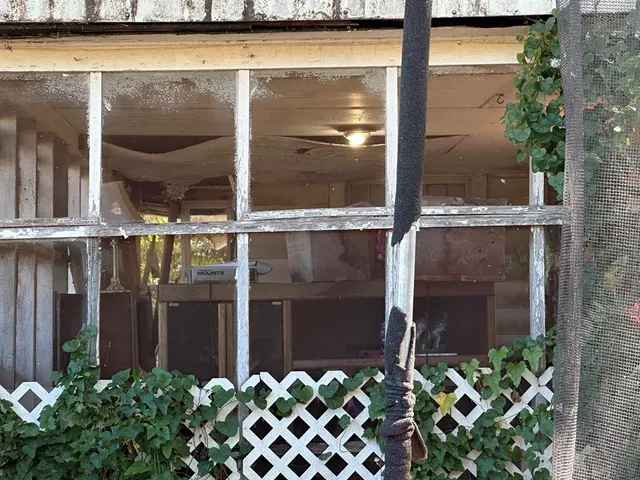 a couple of potted plants sitting in front of a glass door