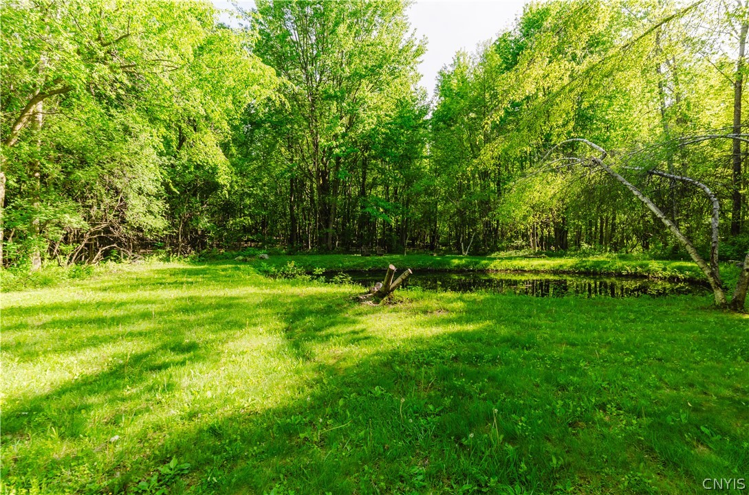 16228 Deer Run Road Watertown Town, NY 13601 - Photo 38 of 42