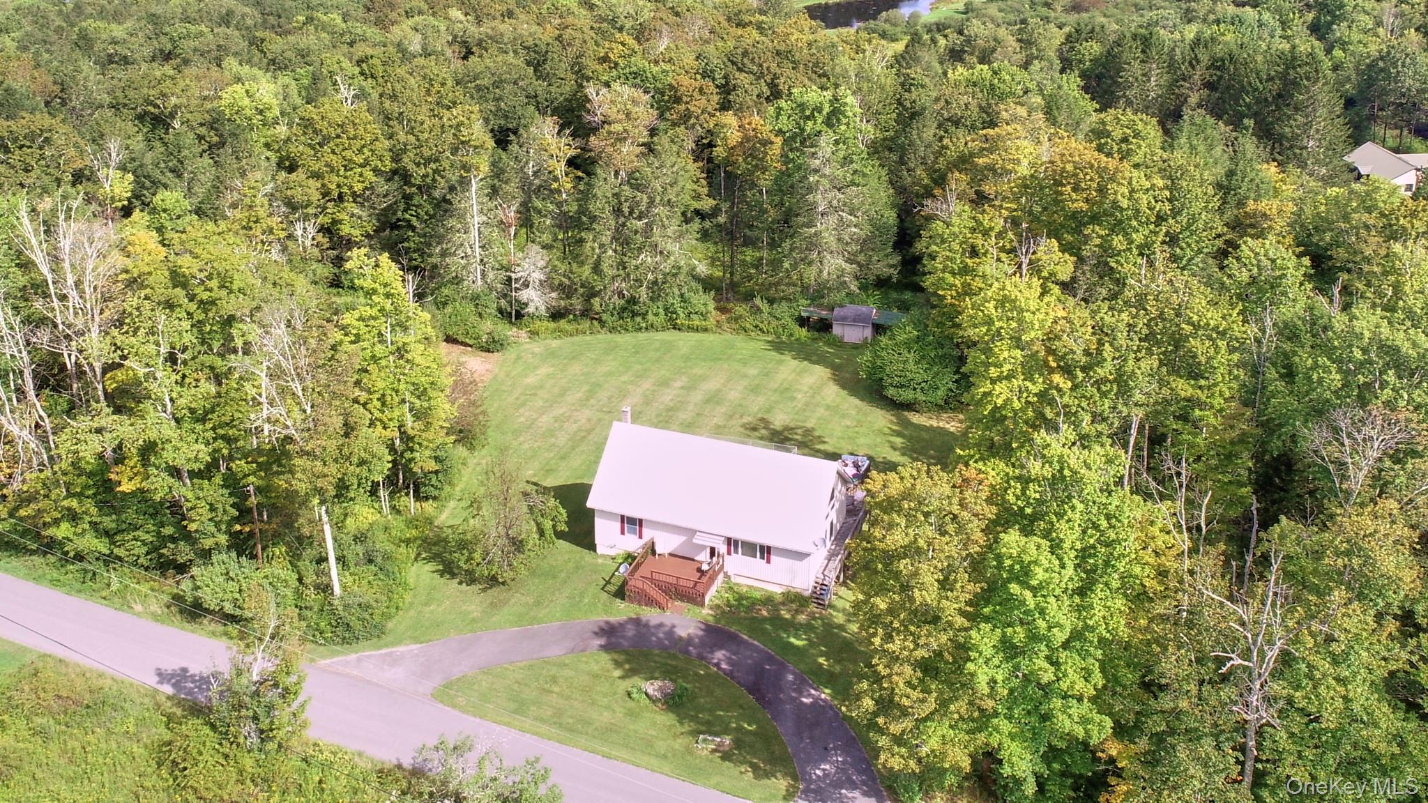 10 West Simmon Road Callicoon, NY 12723 - Photo 3 of 25